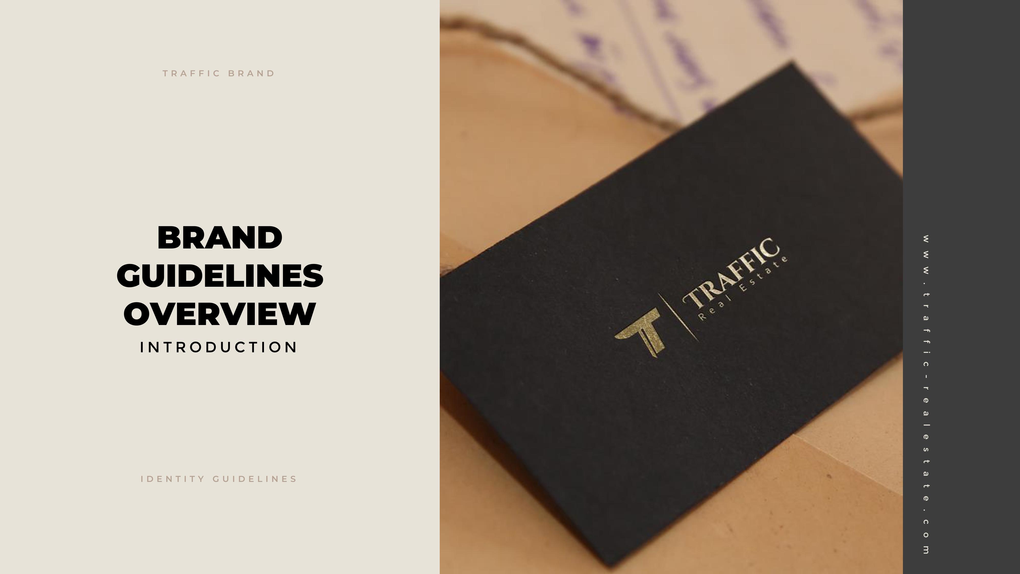 Traffic Logo Design & Guide Line