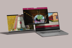 Maulana Website