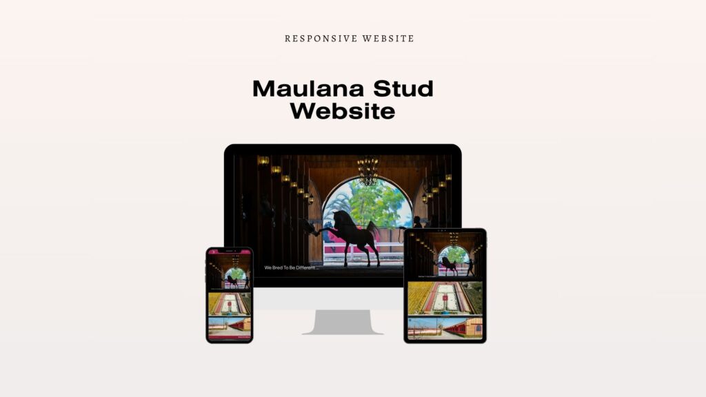 Maulana Website