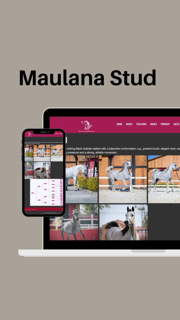 Maulana Website