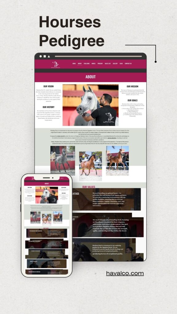 Maulana Website