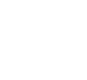 Nawwar Architects logo