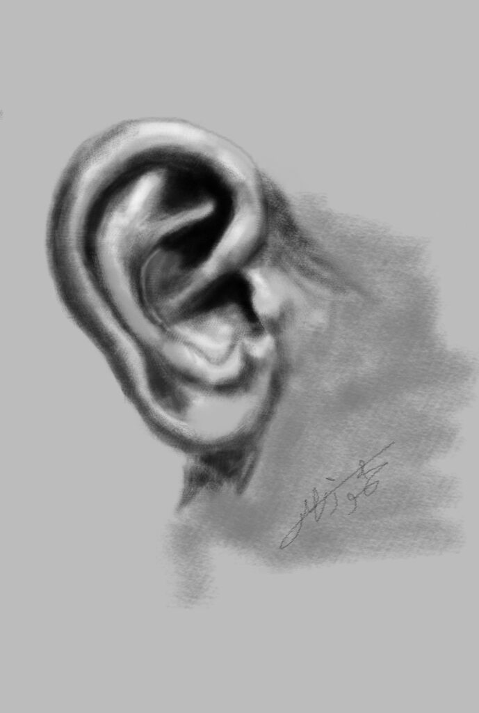 Ear study