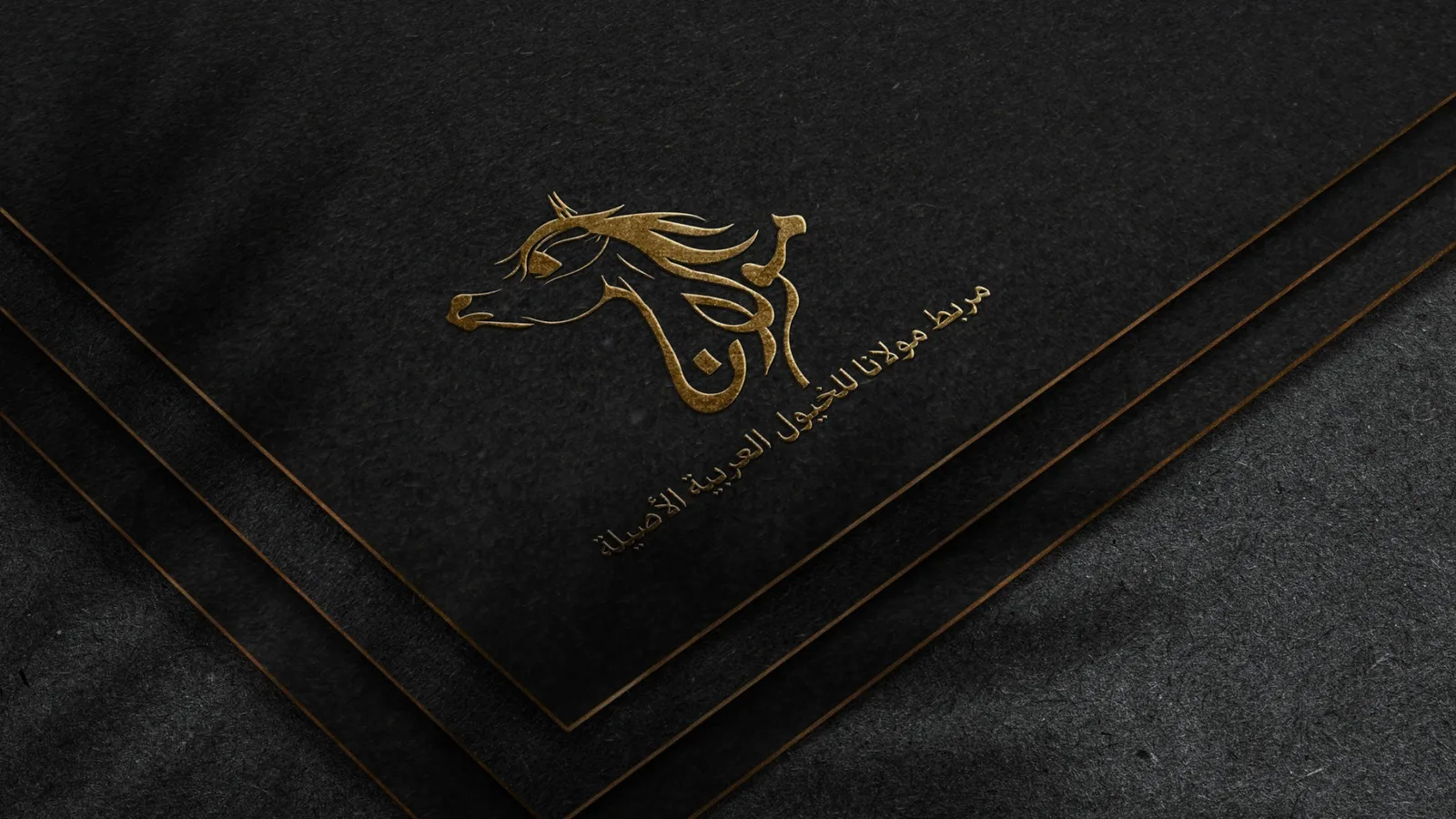 Maulana Stud logo design: Mockup, gold foil on black paper