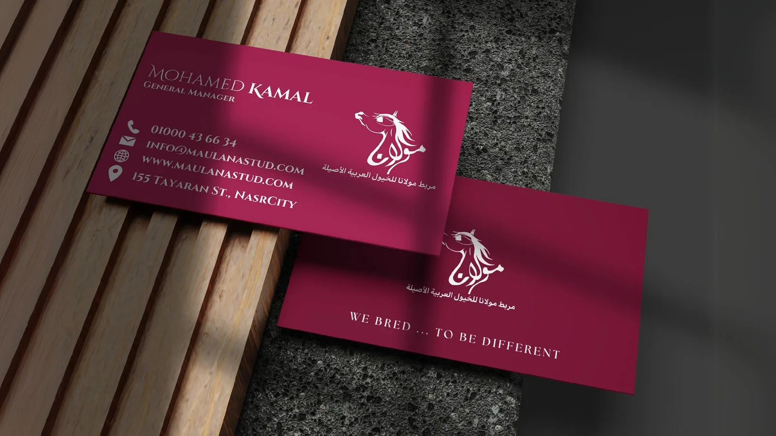 Maulana Stud logo design: Mockup, business cards