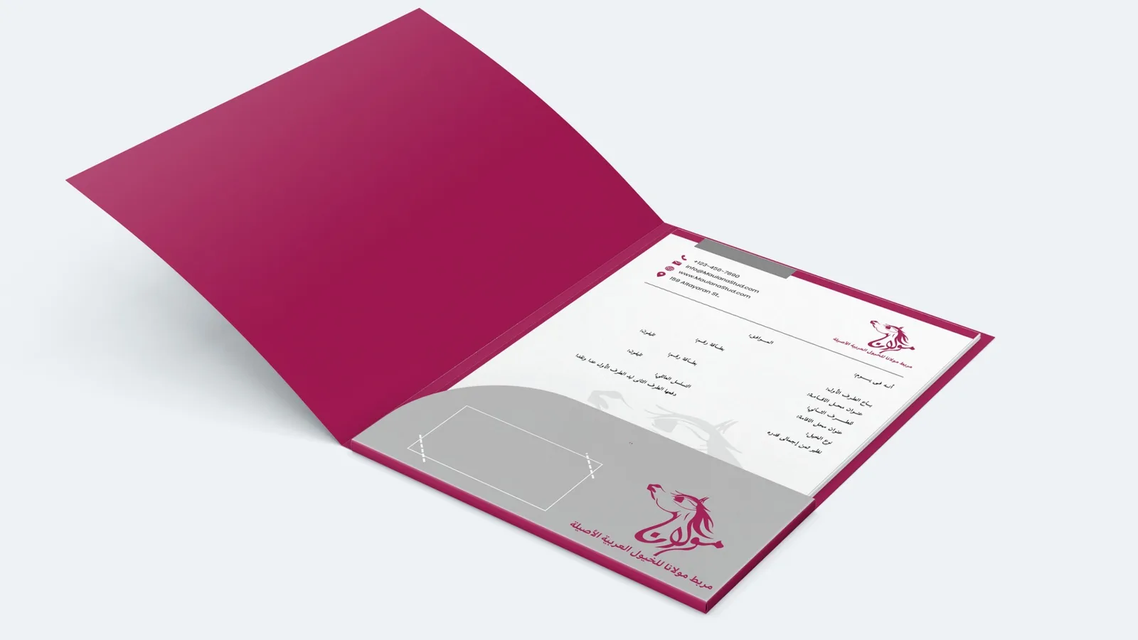 Maulana Stud logo design: Mockup, presentation folder