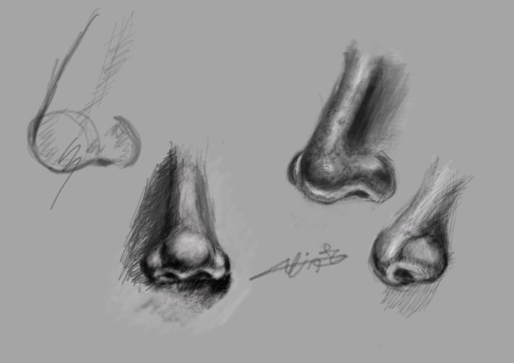 Nose Study