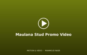 Maulana Stud Promo Video