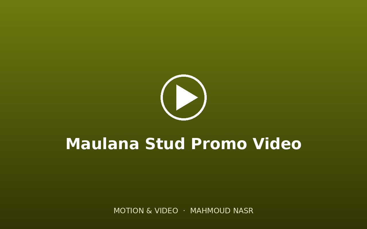Maulana Stud Promo Video