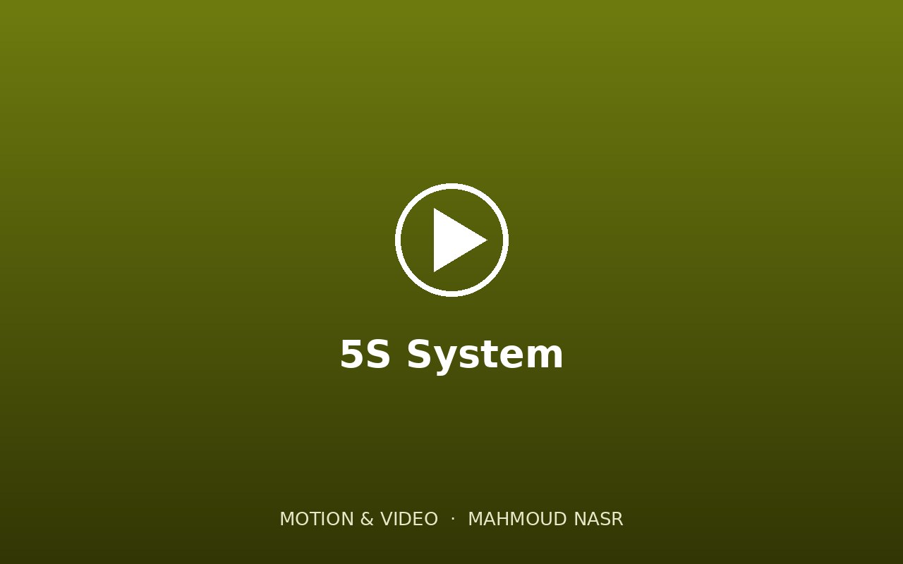 5S System